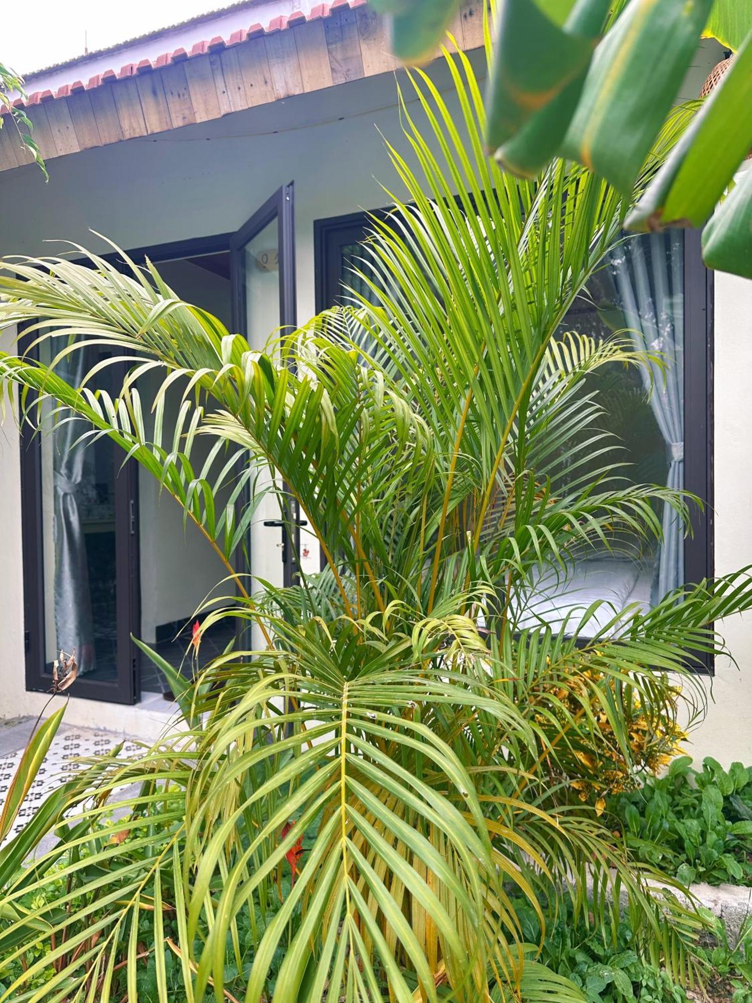 Xuan Son Hang Mua Green Retreat מראה חיצוני תמונה